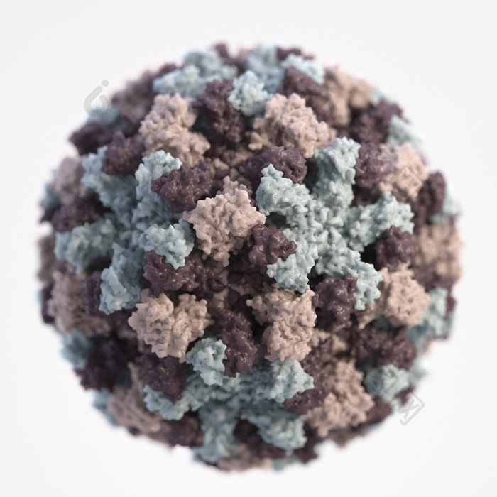 三维诺瓦克病毒模型