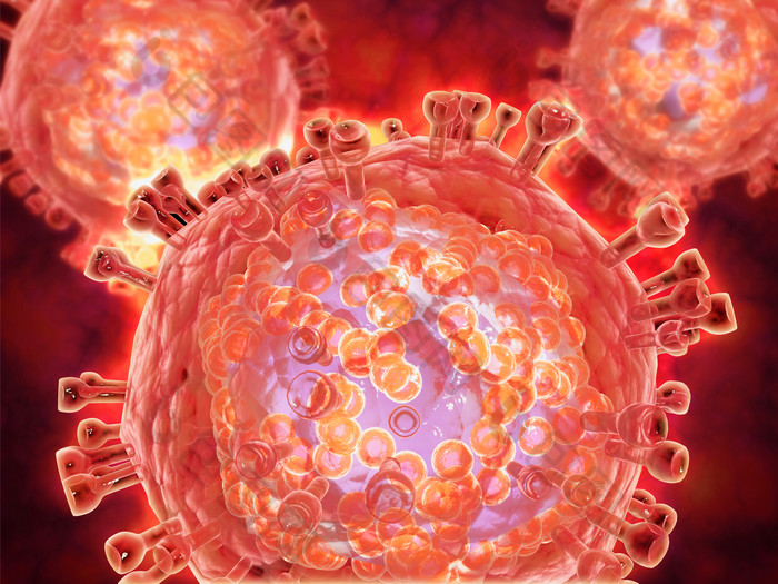 艾滋病毒细胞示例图