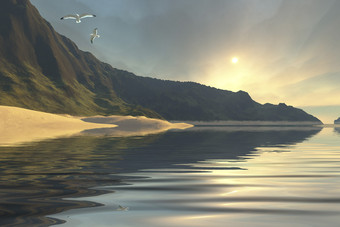 海滩海鸥风景插图