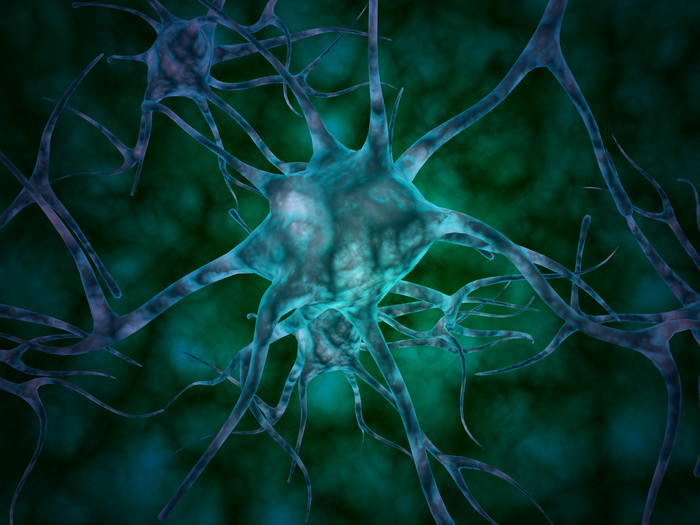 神经元细胞示例图