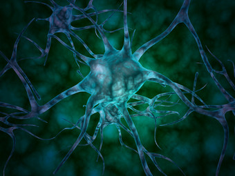 神经元细胞示例图