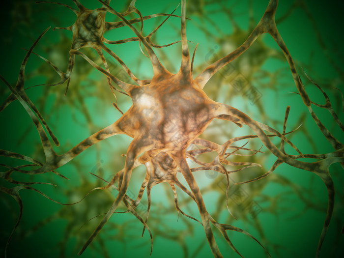 微生物神经元细胞示例插图