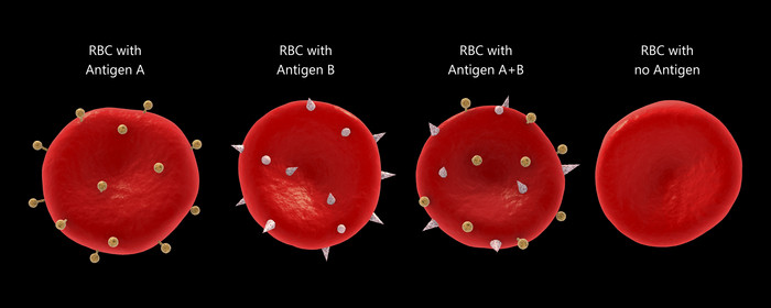微生物血红细胞红色