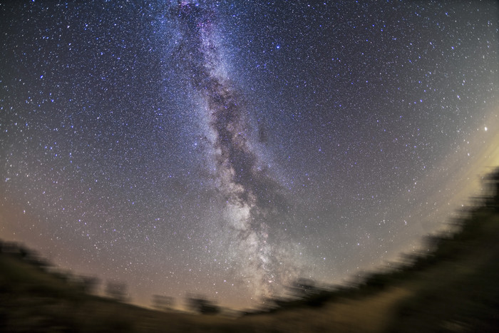 夜晚星空下的森林树木