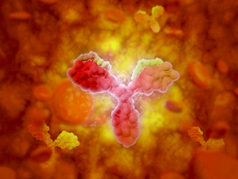 细胞质血红蛋白示例图