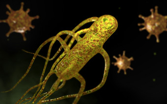 生物学寄生虫和细胞