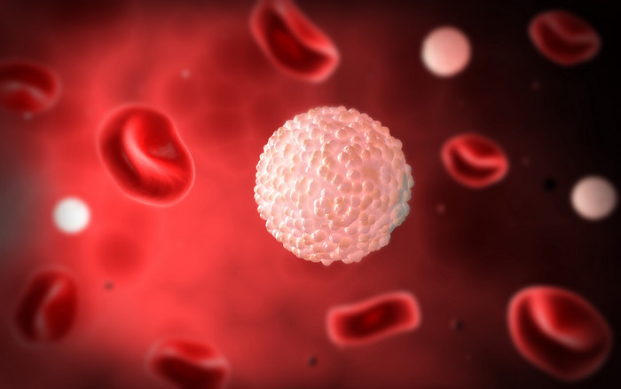 微生物血红蛋白细胞示例图