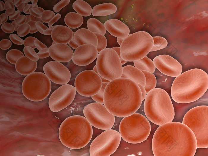 生物血红蛋白细胞示例插图