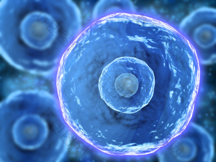 微生物细胞淋巴细胞示例图