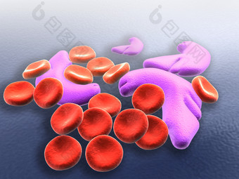 <strong>微生物</strong>血红蛋白示例插图