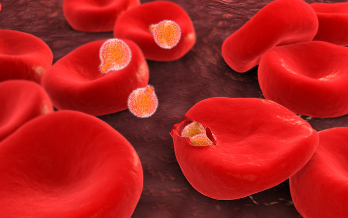 红色血液医疗血小板