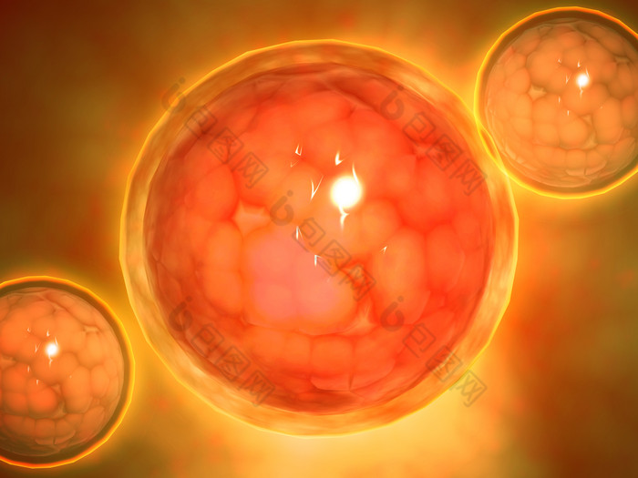 包图网提供精美好看的微生物胚细胞示例图素材免费下载,本次作品主题