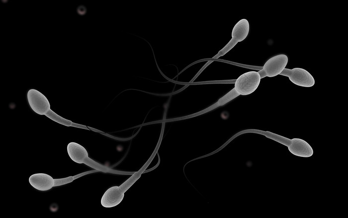 生物学精子小蝌蚪