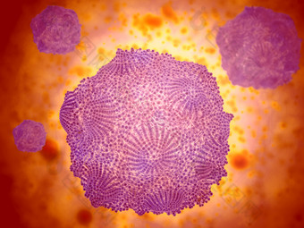 细小病毒细胞示例图