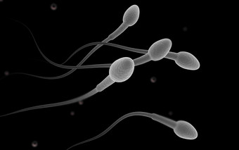 活跃的生殖精子摄影图