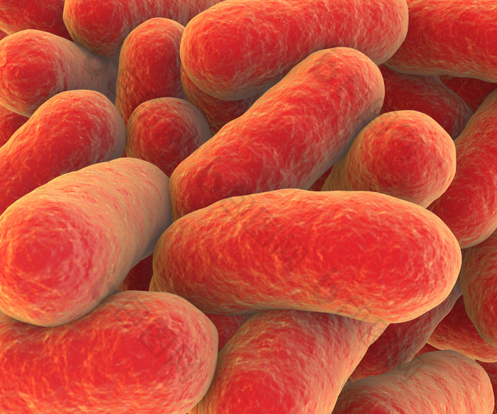 红色的病原体细菌摄影图