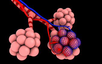 医疗粉色<strong>肺泡</strong>摄影图