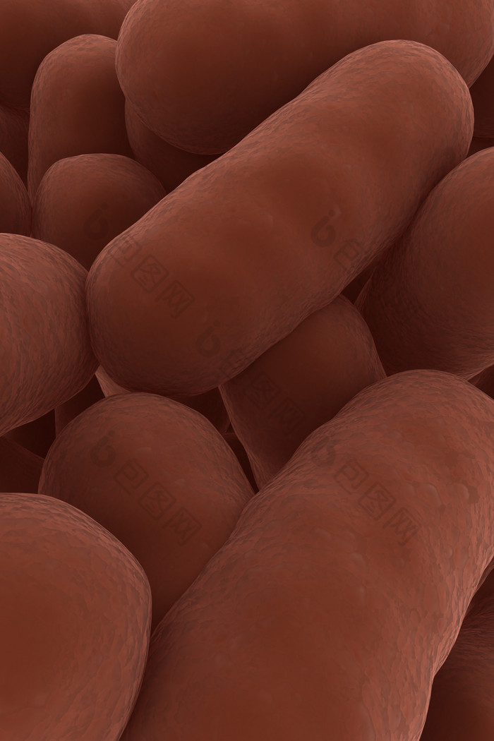 红色病原体细菌摄影图