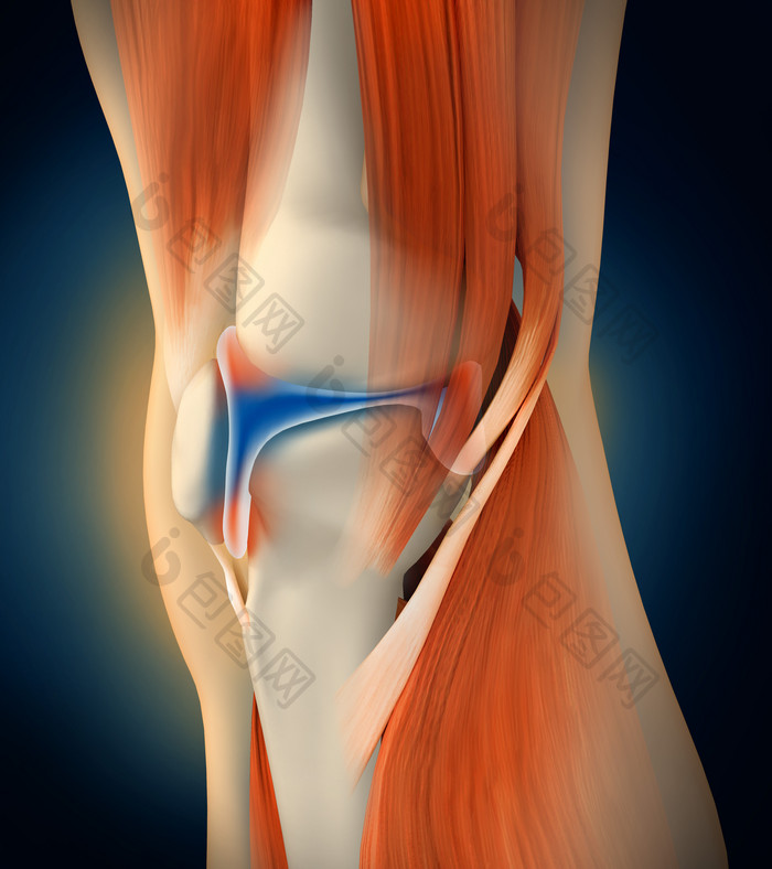腿部膝盖疼痛示例图