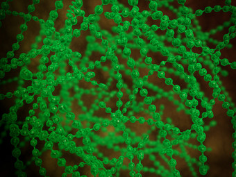 人体内部细胞绿色组织