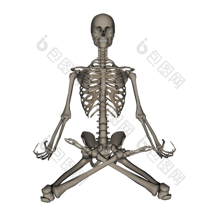 摆着打坐姿势的人体骨骼