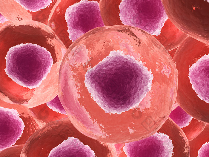 红色的细胞结构摄影图