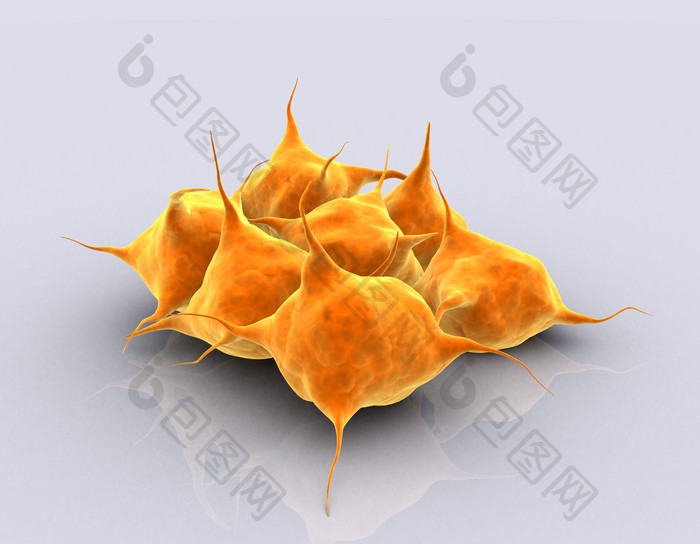 黄色生物学细胞摄影图