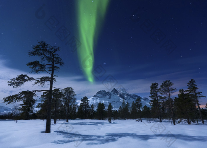 极地的雪景