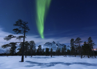 极地的雪景