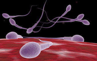 紫色活跃精子摄影图