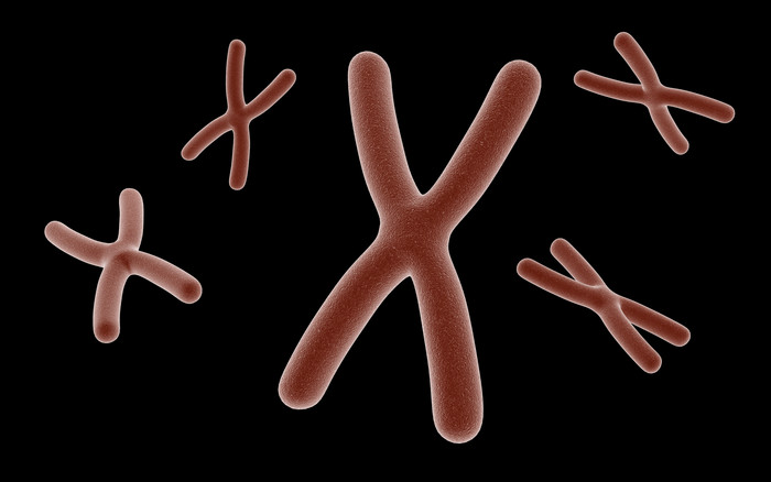 微生物基因组细胞摄影摄影插图