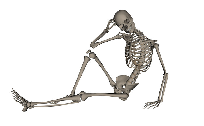 侧坐着的人体骨骼组织