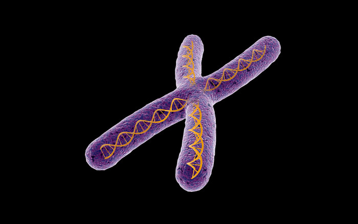 生物细胞结构示例插图