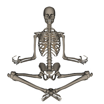 人体骨头图片 人体骨头素材 人体骨头海报 包图网