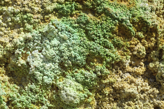 绿色岩石摄影插图
