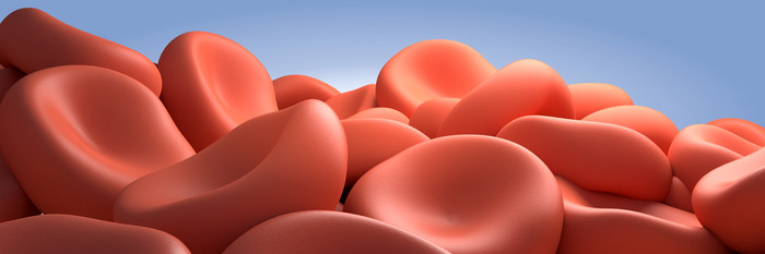血红蛋白细胞示例图