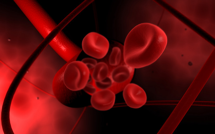 人体血管红色血液