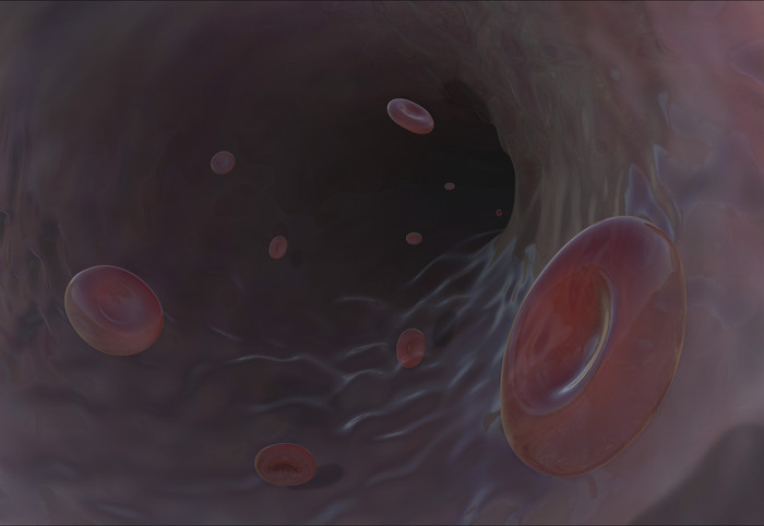 微生物红细胞示例插图