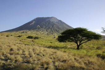 火山丛林风景摄影插图