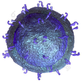免疫力白细胞病原体示例图