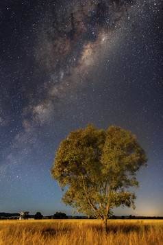 田野星空风景插图