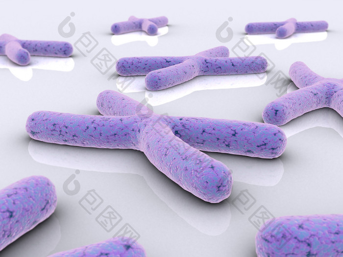 淡紫色的染色体摄影图