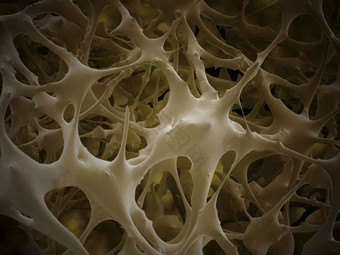 人体内部细胞神经
