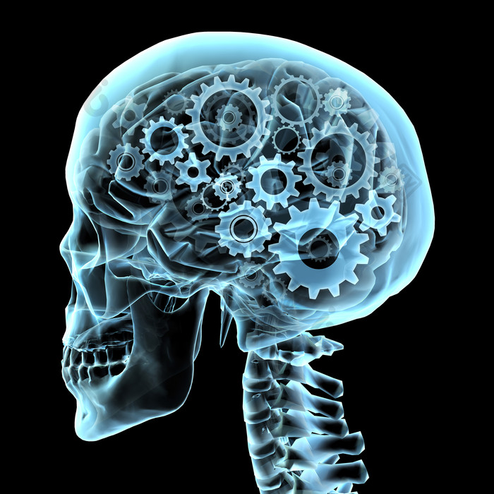 蓝色人类头颅大脑