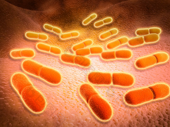 微生物细菌杆菌示例图图片