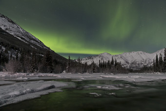 树林<strong>极光夜景</strong>摄影风景图