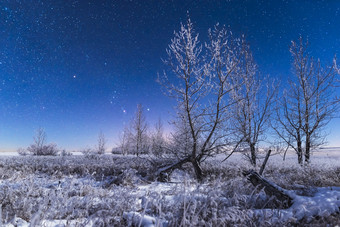 冬季夜空景色摄影图