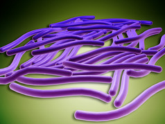 军团菌细胞示例插图
