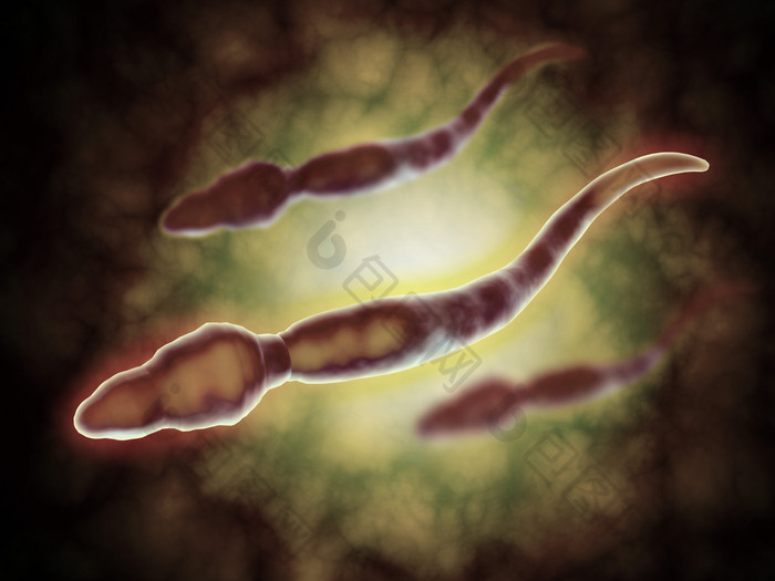 微生物精子细胞插图