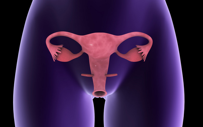 卵巢子宫示例插图